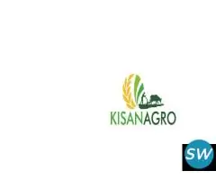 Spices Exporters in India