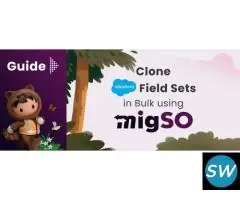 Clone Salesforce Fields Easily with migSO