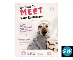 Pawfect : Best Pet Match App for Dogs