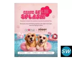 Pawfect : Best Pet Match App for Dogs
