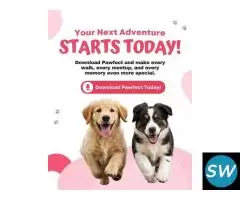 Pawfect : Best Pet Match App for Dogs