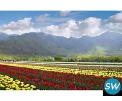 Srinagar 4 Nights 5Days Tour Package