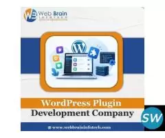 WordPress Plugin Development Company