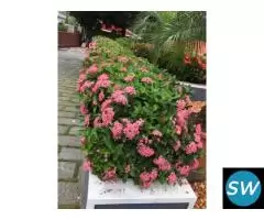 Top Quality Kadappa Stone Works Trivandrum