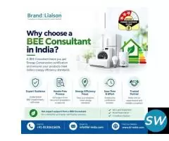 Why choose a BEE Consultant in India?