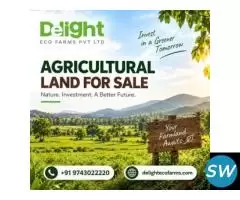 Agricultural Land for Sale in Lepakshi