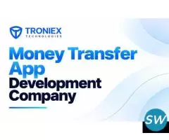 Custom-Built Money Transfer Apps