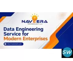 Professional Data Engineering Service