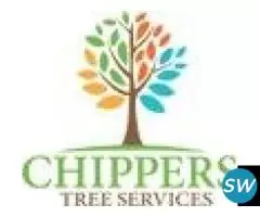 Who Can Prune Trees Near My Home in Dallas?