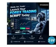 Ready, Set, Trade! Launch Your Forex Script Today