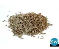 Spices Manufacturers in Gujarat