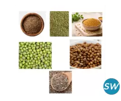 Spices Manufacturers in Gujarat