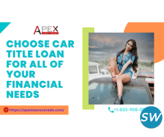 Choose car title loan for all of your financial needs.