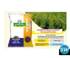 Pearl Millet Seed Manufacturing Company - 1