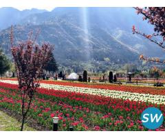 Splendid Hues of Kashmir 4 Nights PACKAGE CATEGORY : Family, Group
