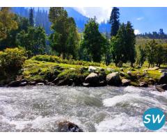 Splendid Hues of Kashmir 4 Nights PACKAGE CATEGORY : Family, Group - 4