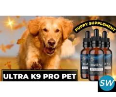 Is Ultra K9 Pro Good Choice For Your Pets - 1