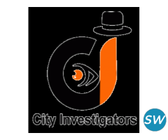 Ghaziabad's Reliable Detective Agency: Unveiling Secrets with Professionalism - 1