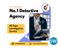 Ghaziabad's Reliable Detective Agency: Unveiling Secrets with Professionalism - 2