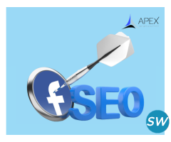 Simple Success: Unleash your potential with practical SEO services.