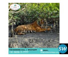 Sundarban Tour Package From Delhi
