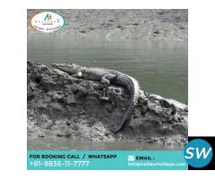 Sundarban Tour Package From Delhi - 3