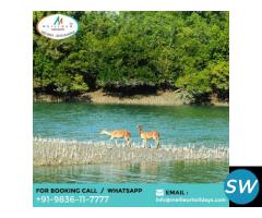 Sundarban Tour Package From Mumbai