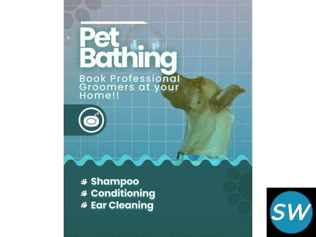 Dog Grooming in Bangalore - Mr n Mrs Pet - 1