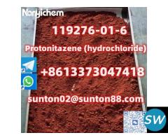 119276-01-6 Protonitazene (hydrochloride) - 2