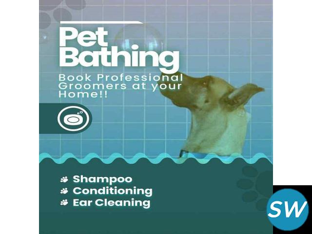 Dog Grooming Services in Delhi - 1