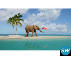 Port Blair, Havelock Holiday Packages - 2
