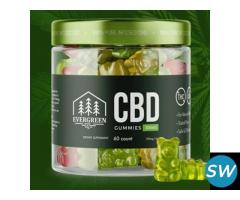 Evergreen CBD Gummies - 1