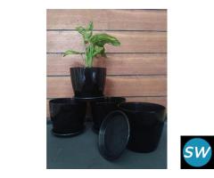 Best Price For Self Watering Pots In India. - 1