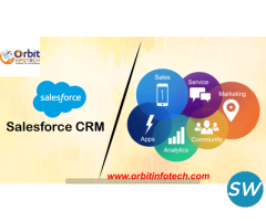 Gaining Competitive Edge: Partnering with the Best Salesforce Talent in India