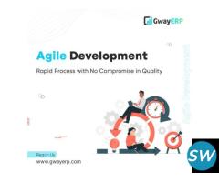 Software Development in Chennai - 4