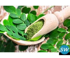 Wholesale Organic Moringa Leaf Powder Bulk Manufacturers