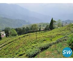 Mountains of Darjeeling & Gangtok 5 Nights 29000/- - 1