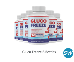 Frosting the UK with GlucoFreeze: the Ultimate Sugar Controller Solution