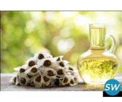 High-Quality Moringa Oil Wholesale | Moringa Oil Manufacturers