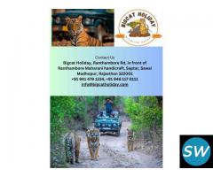 Bigcat Holiday - Tiger Safari Ranthambore | Car Rental | Holiday & Tour Packages - 3