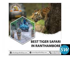 Bigcat Holiday - Tiger Safari Ranthambore | Car Rental | Holiday & Tour Packages - 4