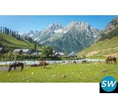 Srinagar 4 Nights 5Days Tour Package starting