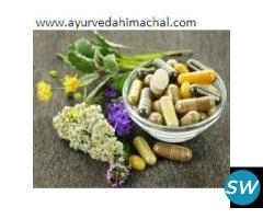 AROGYAM PURE HERBS KIT FOR CANCER - 1