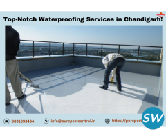 Protect Your Property by Waterproofing Services