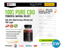 What are Joint Plus CBD Gummies?