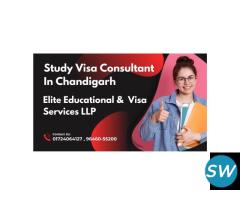Study Visa Consultant in Chandigarh - 1