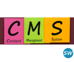 CMS Development Services in Ahmedabad - 1