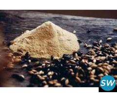 Barley Malt Extract Powder Manufacturer - 1