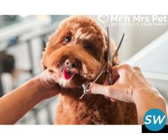 Presenting The Best Dog Groomers in Bangalore
