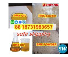 PMK BMK powder to oil Germany 5t stock fast pickup